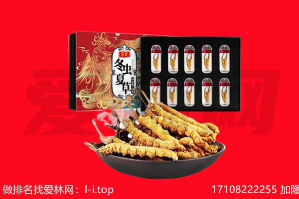 吕梁石楼县回收虫草.jpg